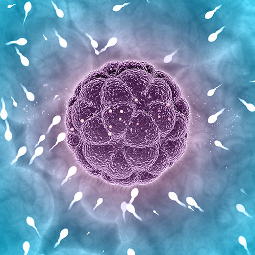 Men with fertility challenges related to sperm quality